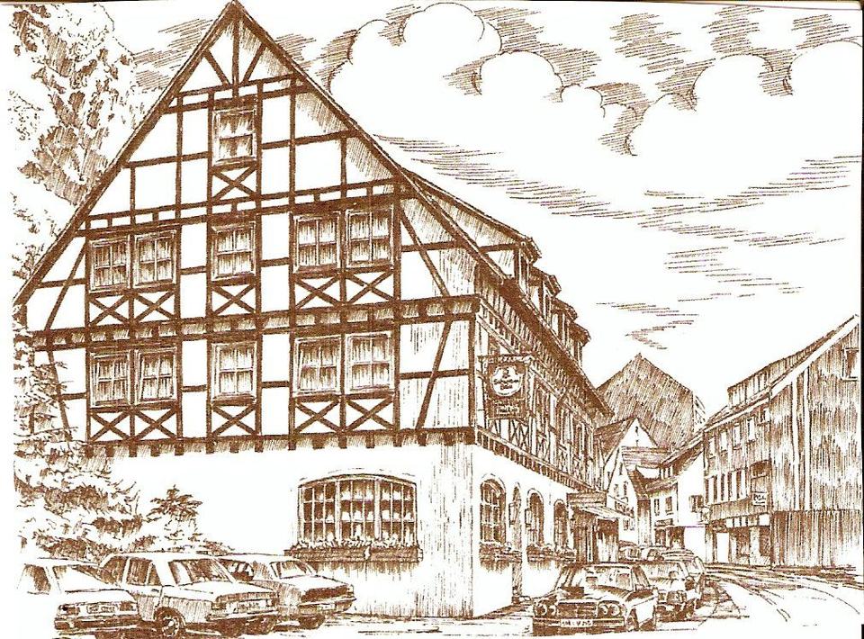 Taube Stichzeichnung